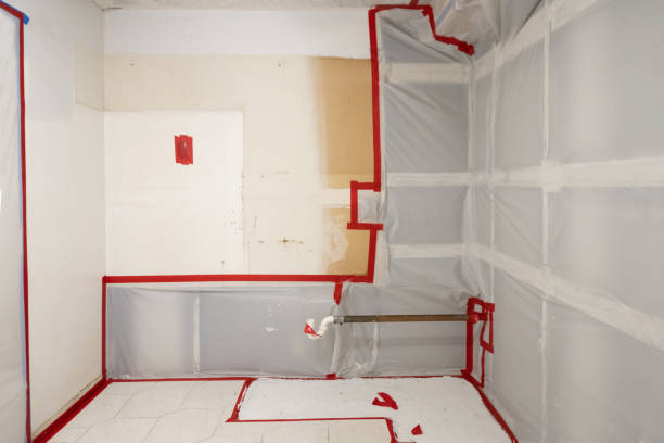 Best Mold Odor Removal Services  in Sunland Park, NM