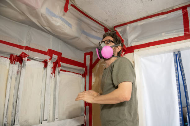 Best Forensic Mold Investigation  in Sunland Park, NM