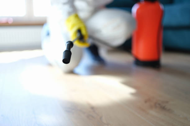 Best HVAC Mold Inspection and Cleaning  in Sunland Park, NM