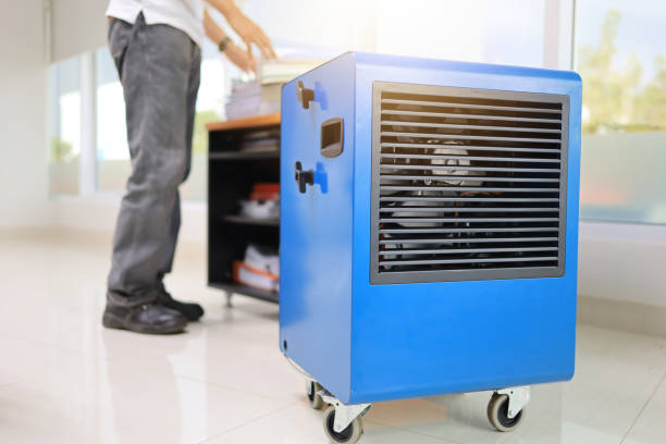 Best Comprehensive Air Testing for Mold Contaminants  in Sunland Park, NM