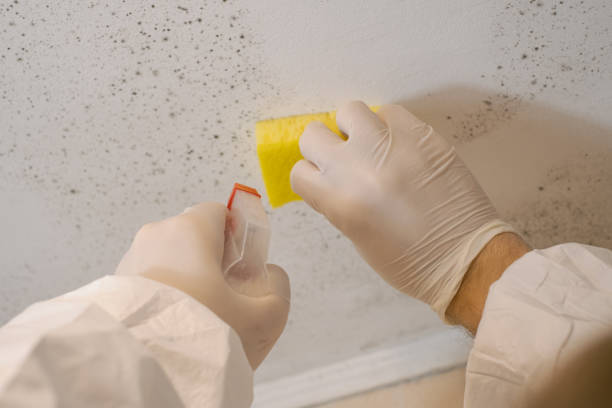 Best Indoor Air Quality Assessment  in Sunland Park, NM
