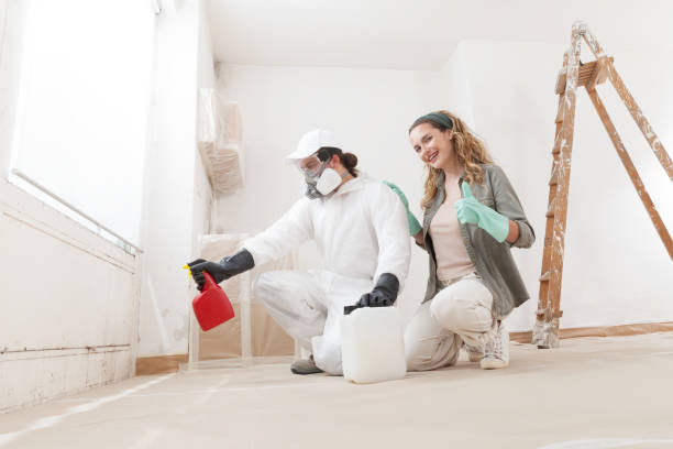 Best Air Quality Testing for Mold Spores  in Sunland Park, NM