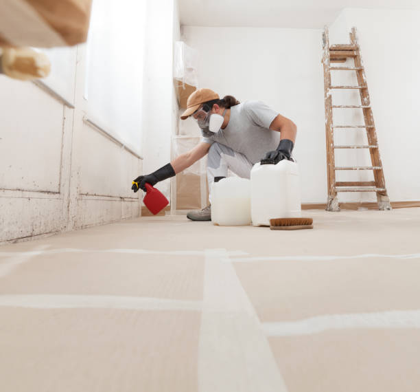 Best Industrial Mold Remediation  in Sunland Park, NM